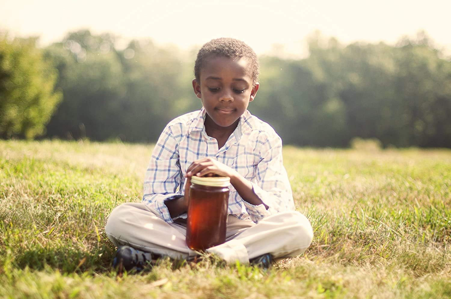 Unfiltered Raw Honey by Zach & Zoe Sweet Bee Farm – (1) 16 Ounce Jar of Honey with Lavender - Pure Farm Raised Honey with Powerful Anti-Oxidants, Amino Acids, Enzymes, and Vitamins!